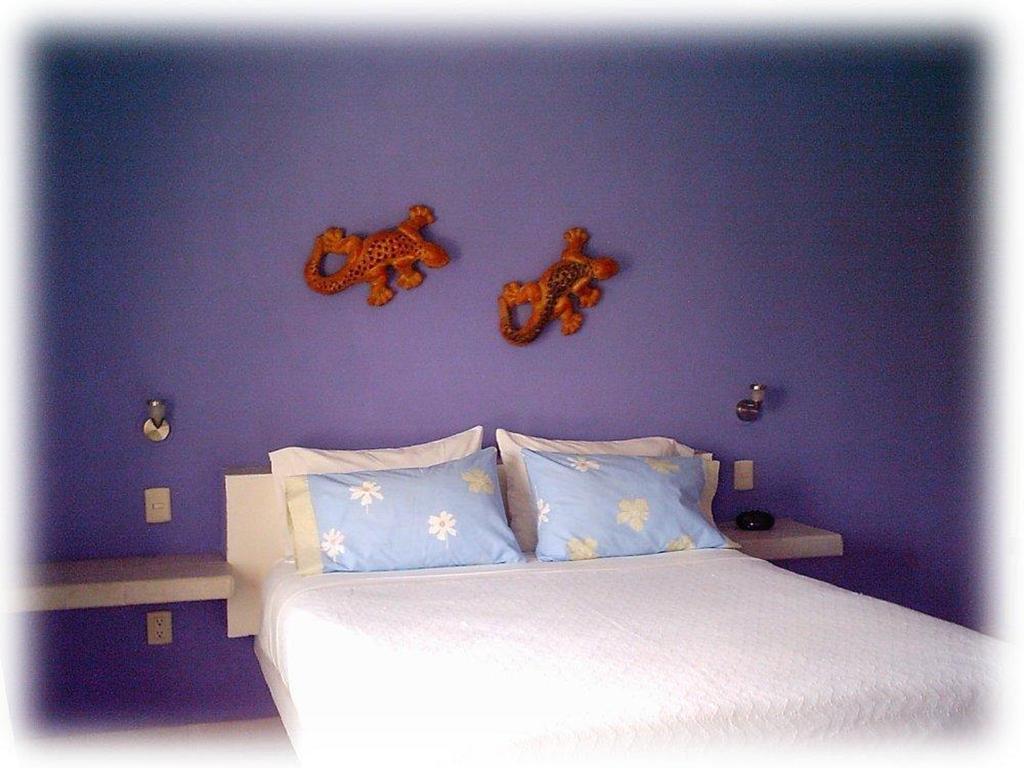 Coral Reef Inn コスメル 部屋 写真